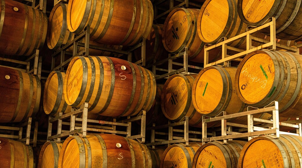 Tantalus Vineyards showing interior views