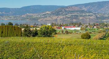 Tantalus Vineyards which includes a lake or waterhole, a small town or village and tranquil scenes