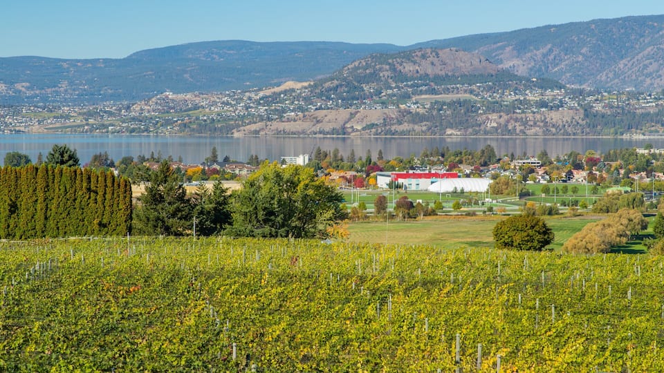 Tantalus Vineyards which includes a lake or waterhole, a small town or village and tranquil scenes