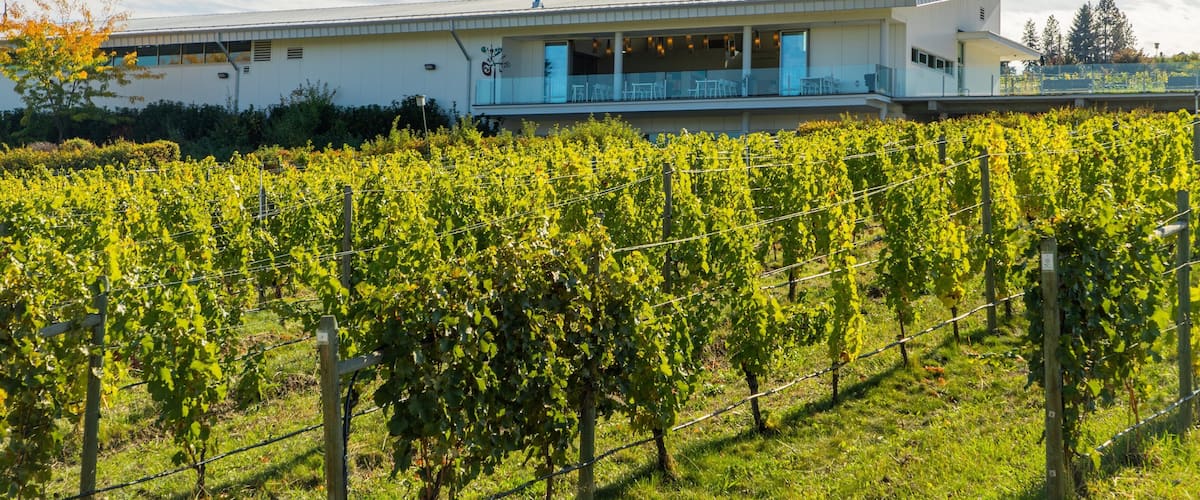 Tantalus Vineyards which includes farmland