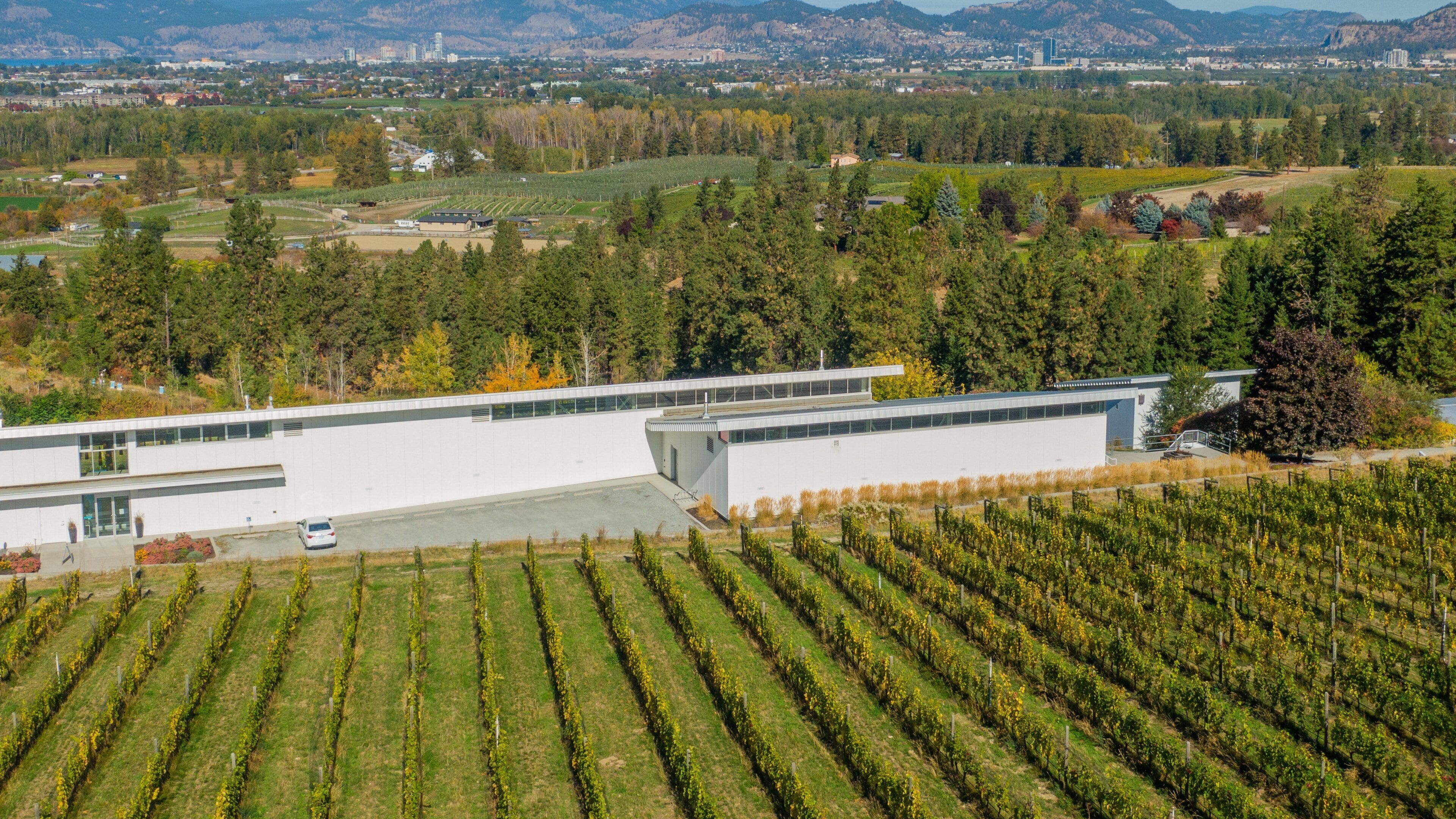 A modern building with a parking lot and vineyard rows.