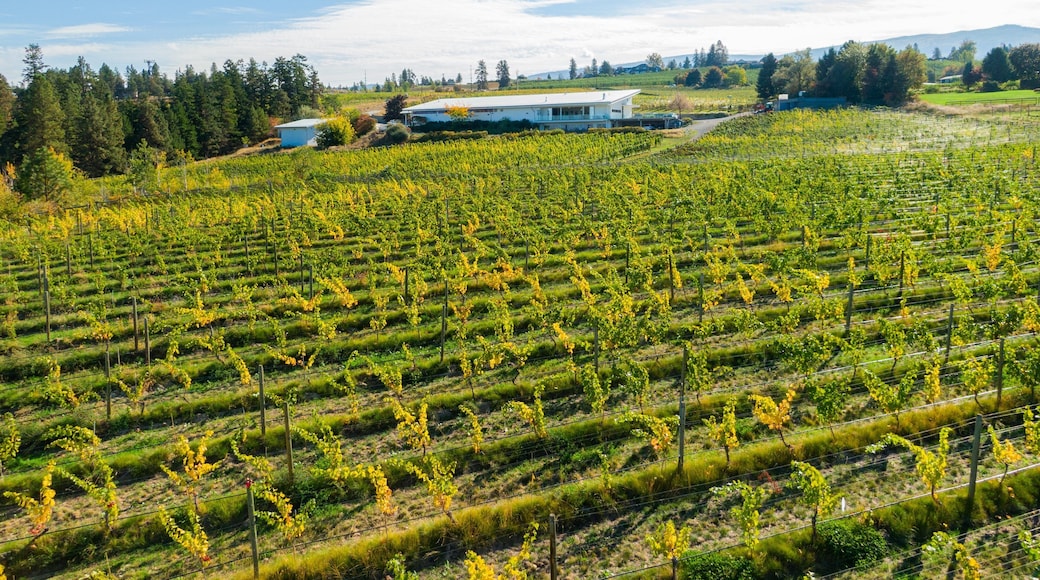 Tantalus Vineyards showing farmland