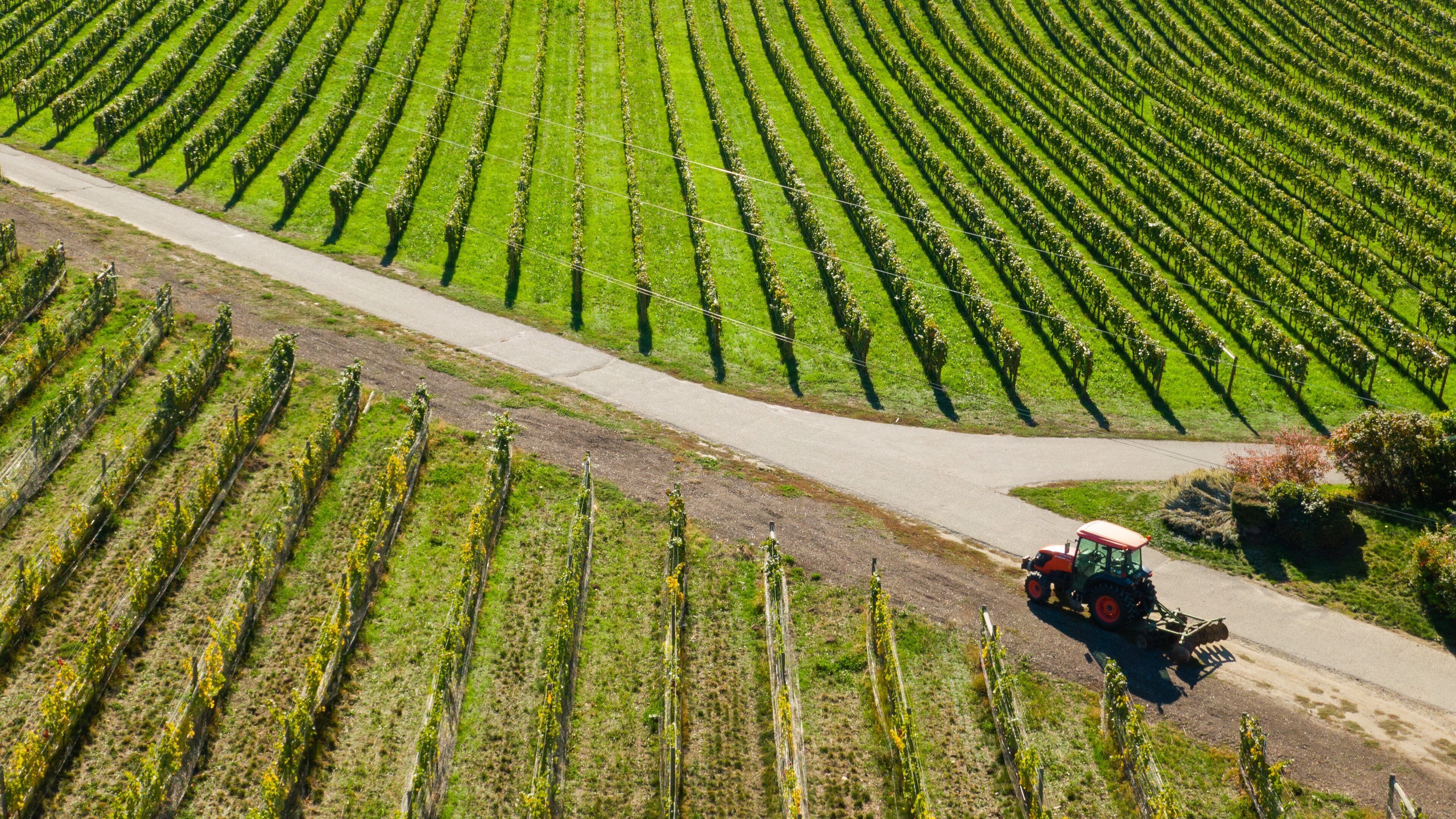 Tantalus Vineyards showing farmland