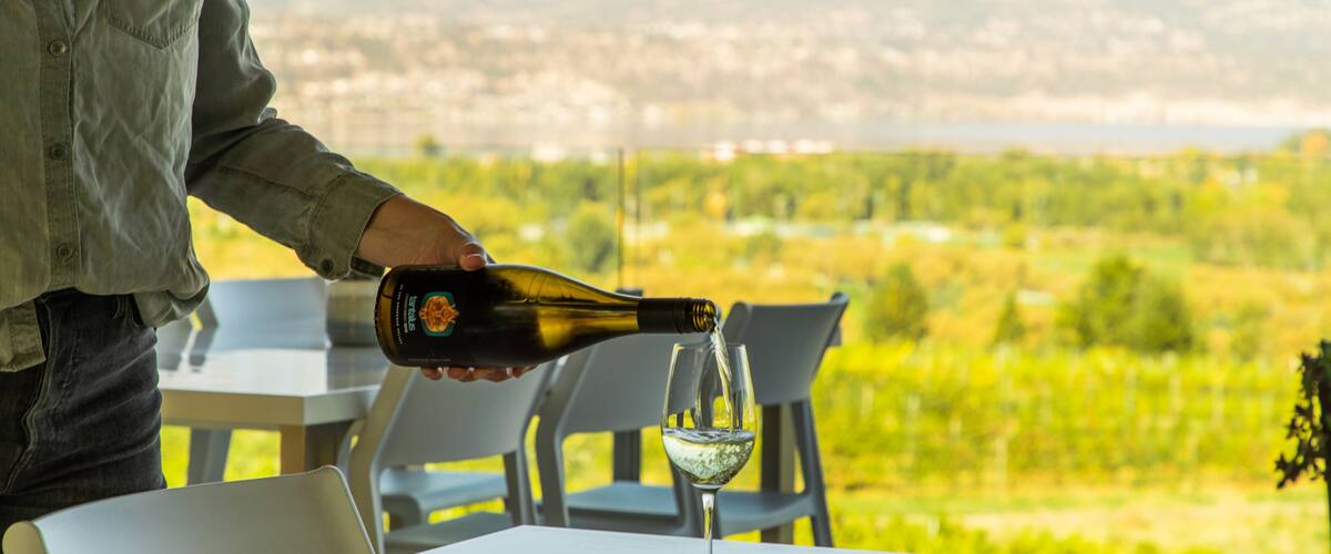 Tantalus Vineyards showing dining out and drinks or beverages