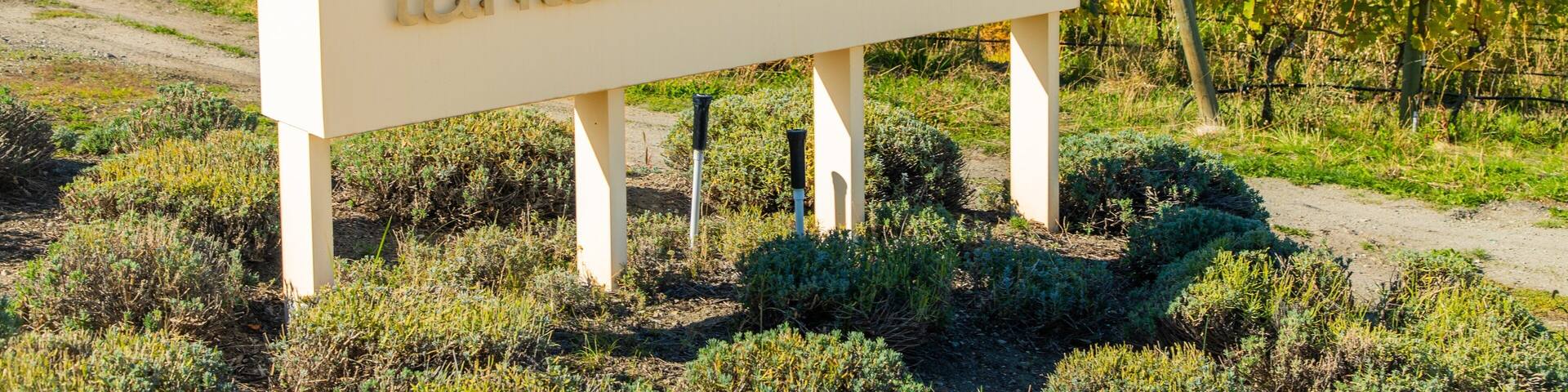 A sign for Tantalus Vineyards with rows of grapevines in the background and a lake and mountains in the distance.
