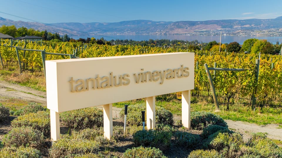 Tantalus Vineyards showing farmland and signage