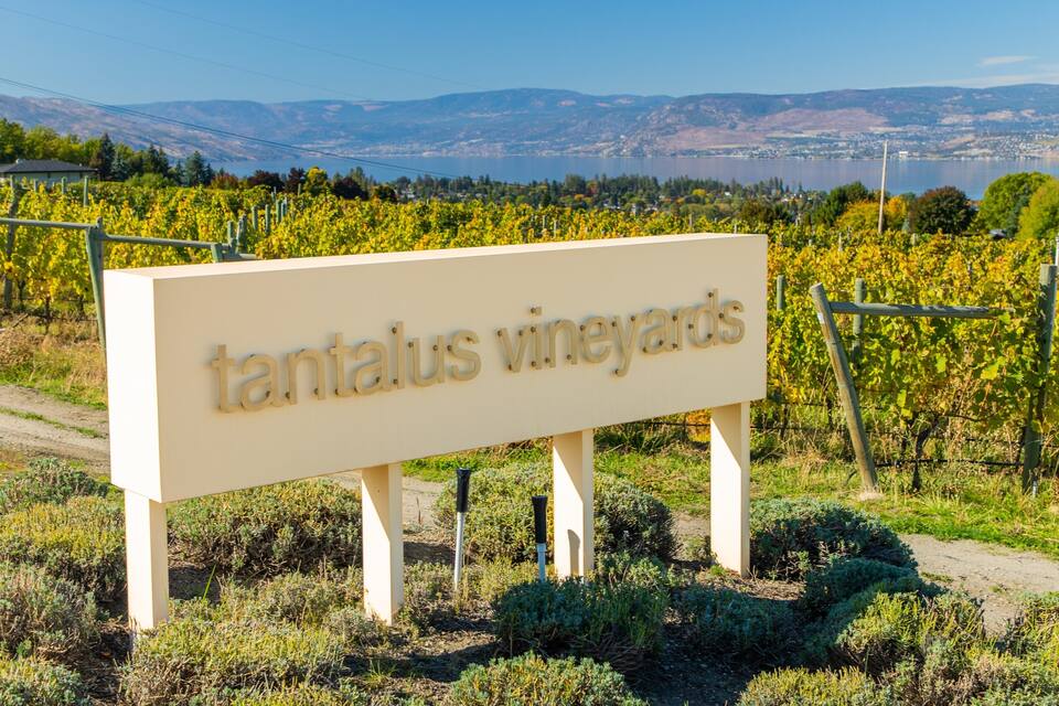 Señal de Tantalus Vineyards, con hileras de viñedos al fondo y un lago y montañas a lo lejos.