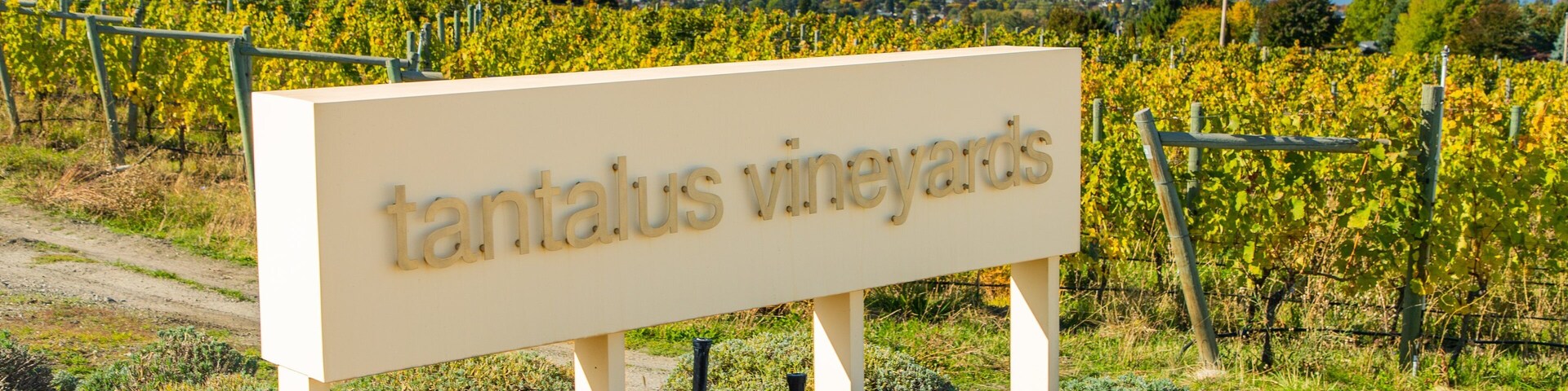 Tantalus Vineyards showing farmland and signage