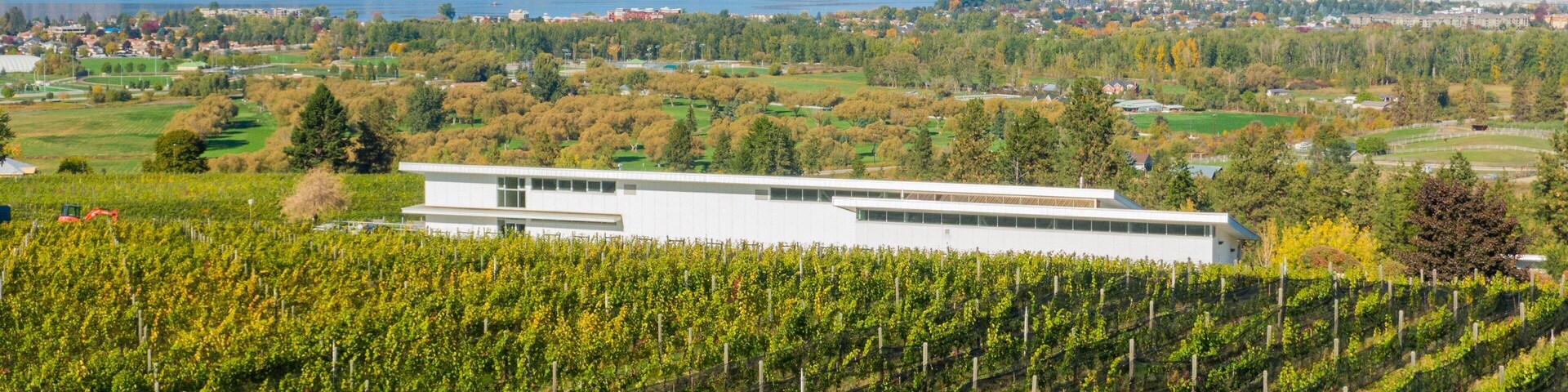 Tantalus Vineyards which includes landscape views and farmland