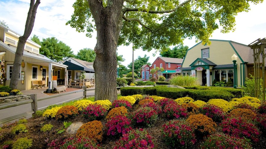 Olde Mistick Village which includes flowers and a small town or village
