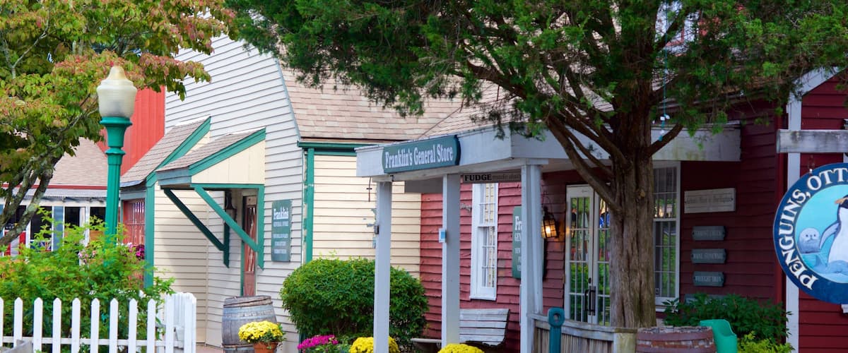 Olde Mistick Village featuring a small town or village
