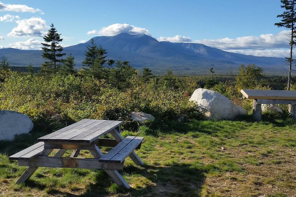 A picnic area with two wooden tables and rocks, surrounded by grass and trees, with a mountain in the background.
