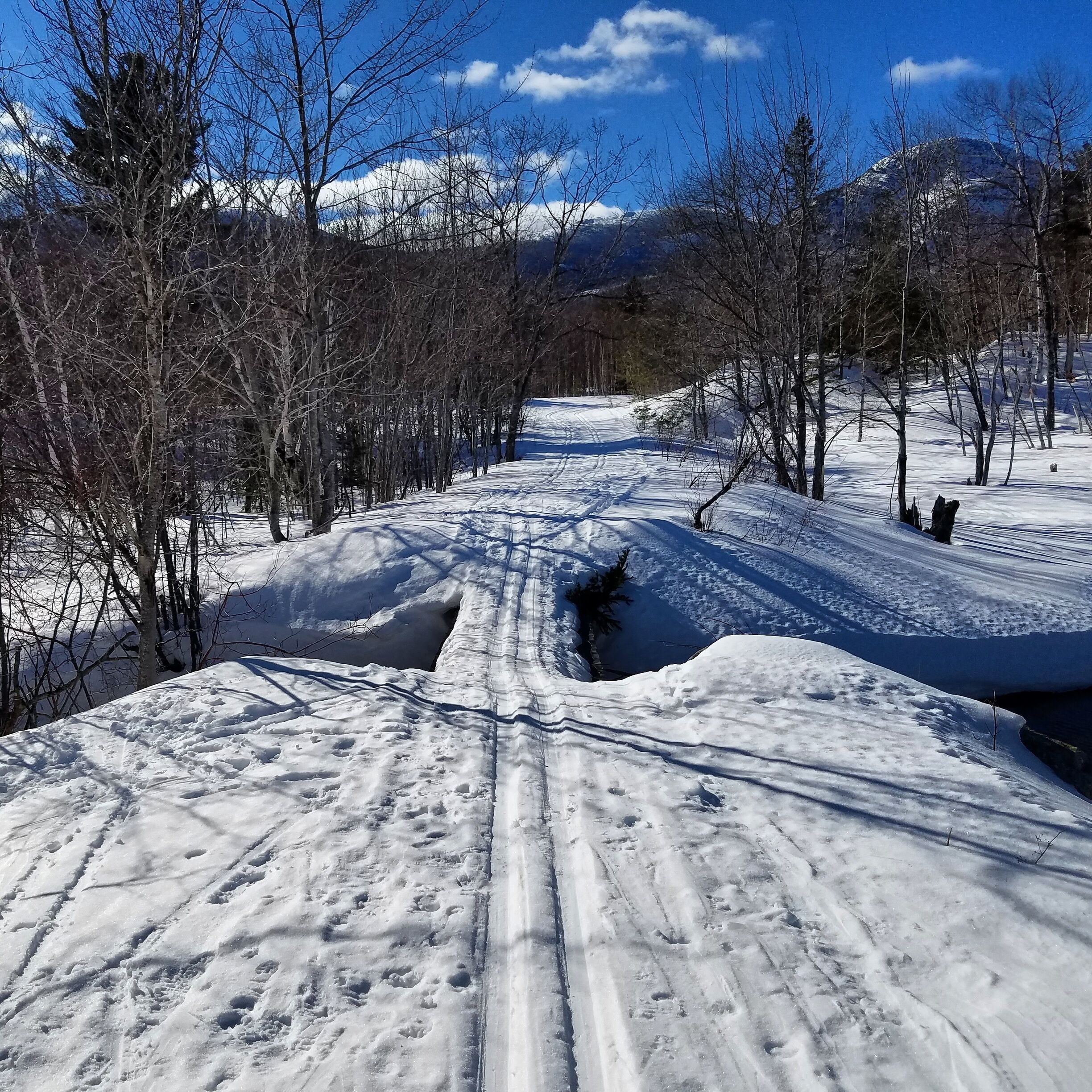 Old River Rd XC ski loop at the north entrance of Katahdin Woods and Waters