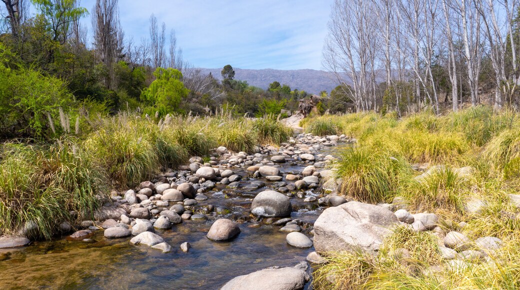 calm narrow creek of crystal mountain water in Nono, Cordoba. Taken on a warm spring afternoon
