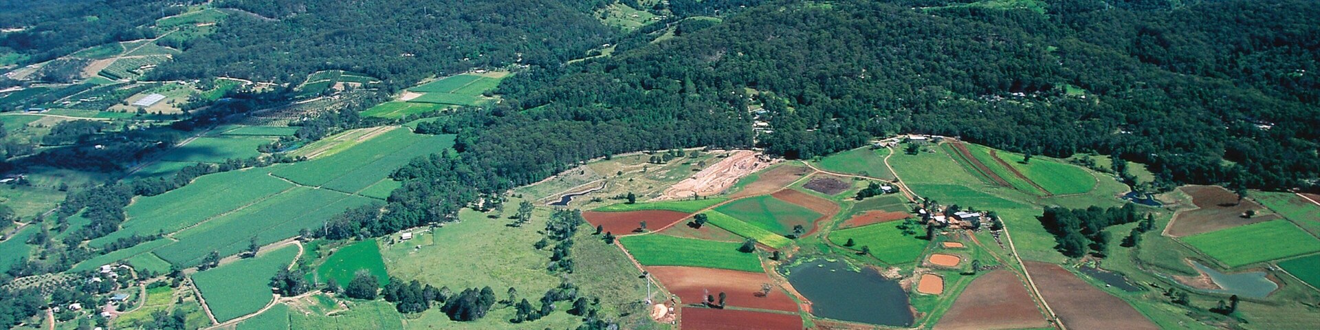 Mapleton showing landscape views, tranquil scenes and farmland