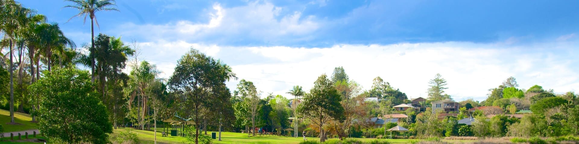 Mapleton showing a park, wetlands and a lake or waterhole