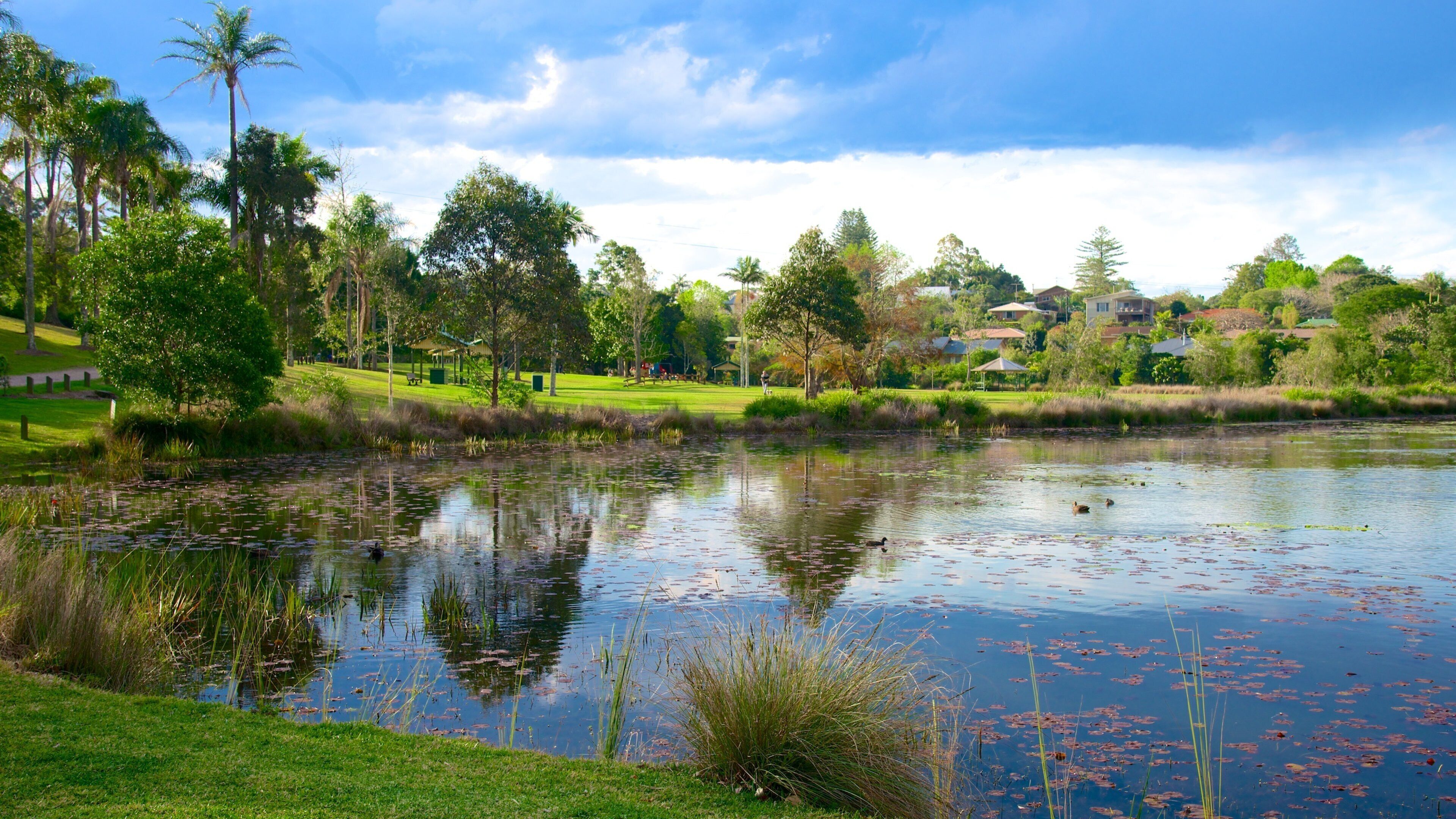 A pond surrounded by grass, trees, and houses.