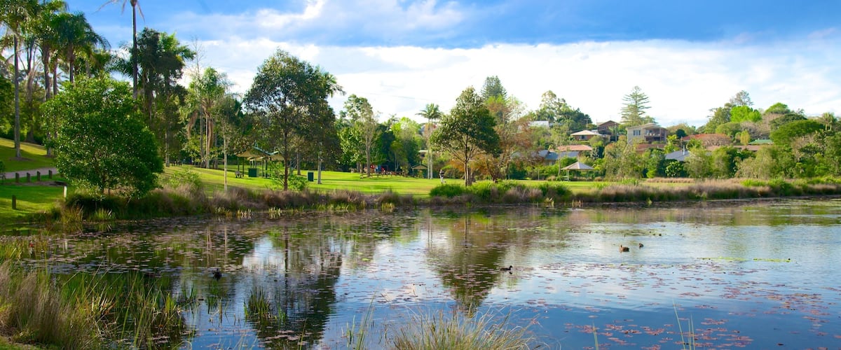 A pond surrounded by grass, trees, and houses.