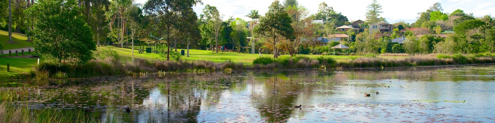 A pond surrounded by grass, trees, and houses.