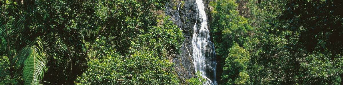 Mapleton which includes a cascade and rainforest