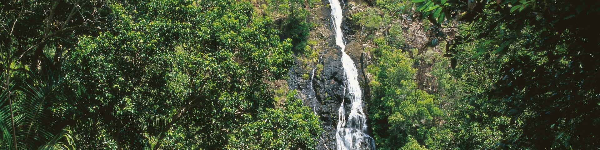 Mapleton which includes a cascade and rainforest