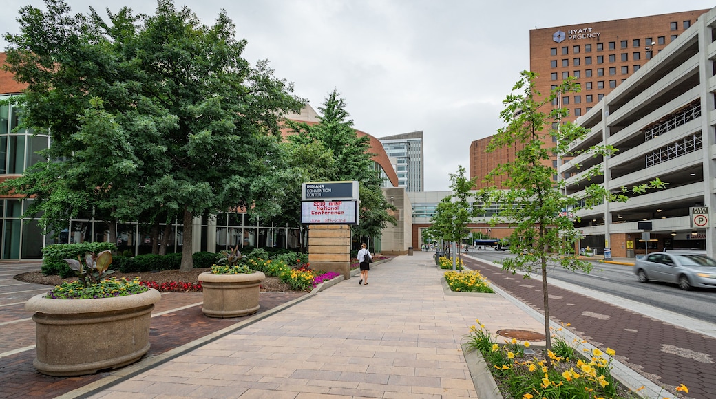 Indiana Convention Center showing signage, street scenes and flowers