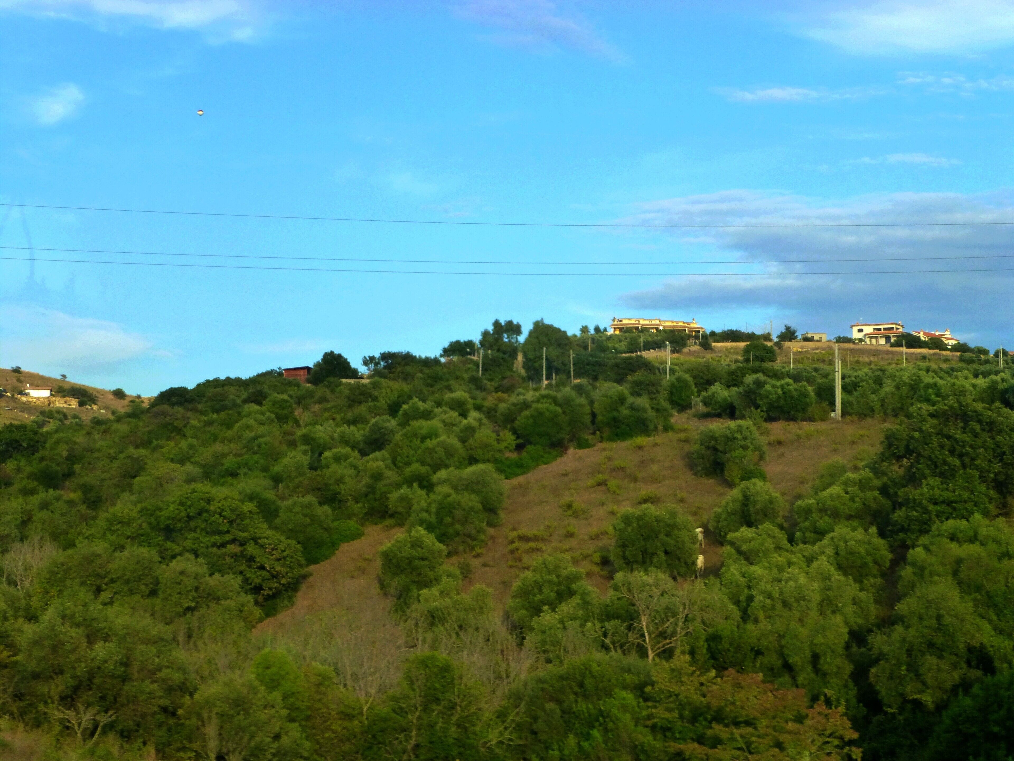 Via Aurelia - tra Roma e Civitavecchia