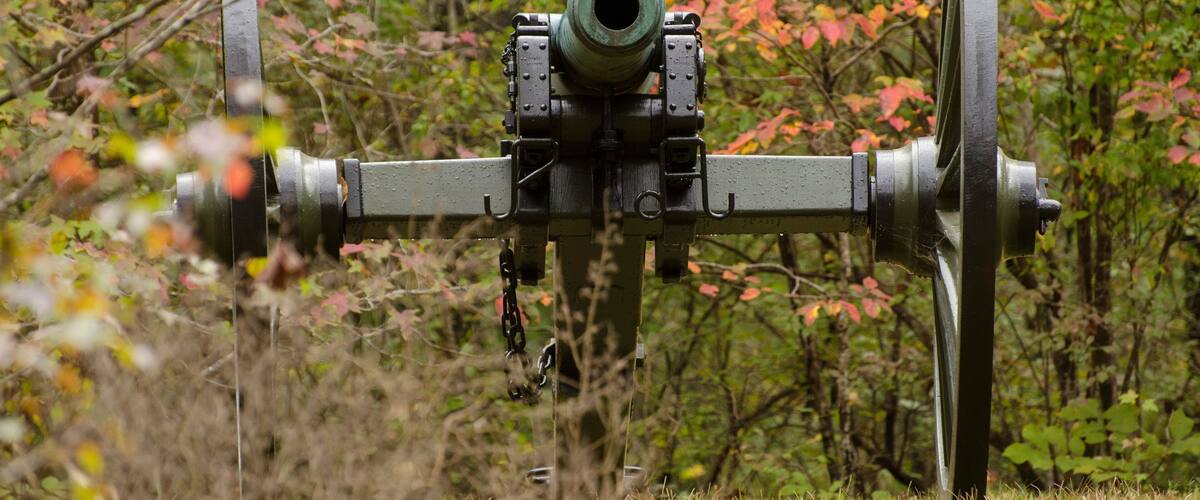 A military cannon in a forested area.