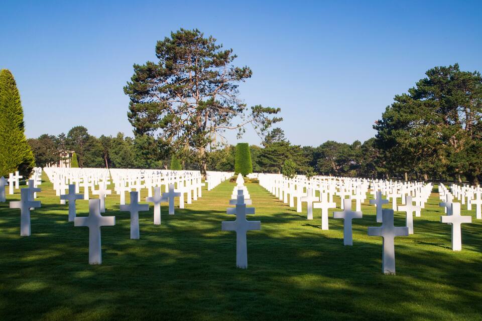 Un cimetière avec des rangées de croix blanches et un grand arbre en arrière-plan.