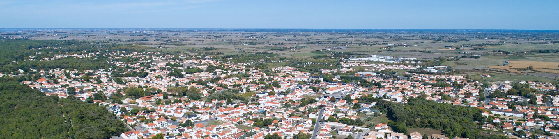 A densely populated town with red-roofed houses, surrounded by green fields and trees.