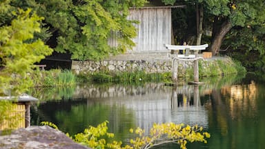 Un étang paisible avec un pont en bois, un mur de pierres et une végétation luxuriante.