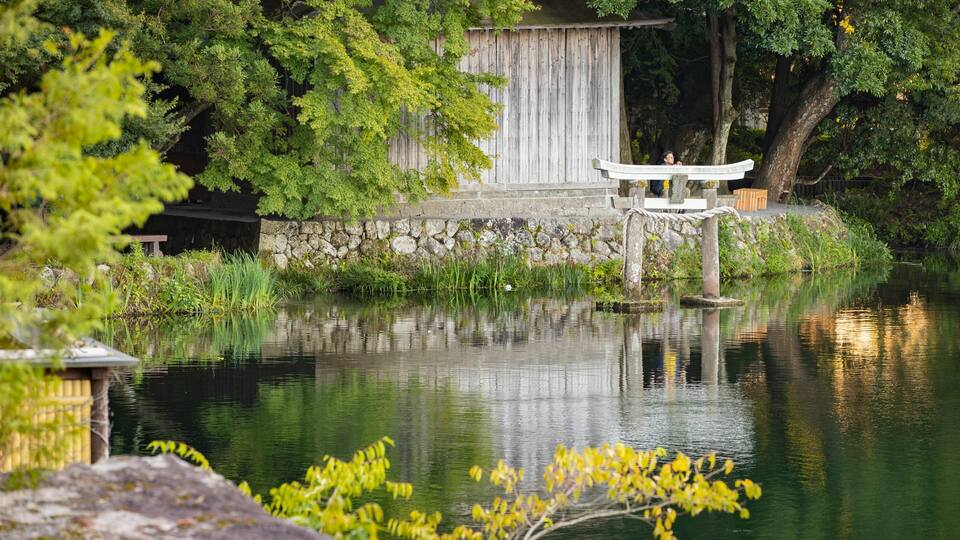 A tranquil pond with a wooden bridge, stone wall, and lush greenery.