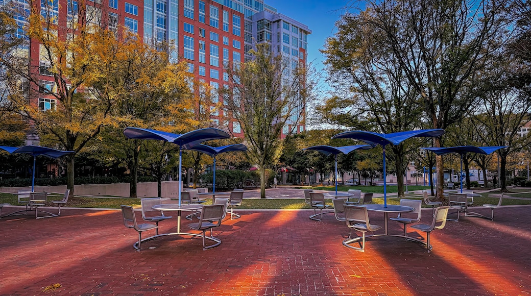 레스턴 타운센터