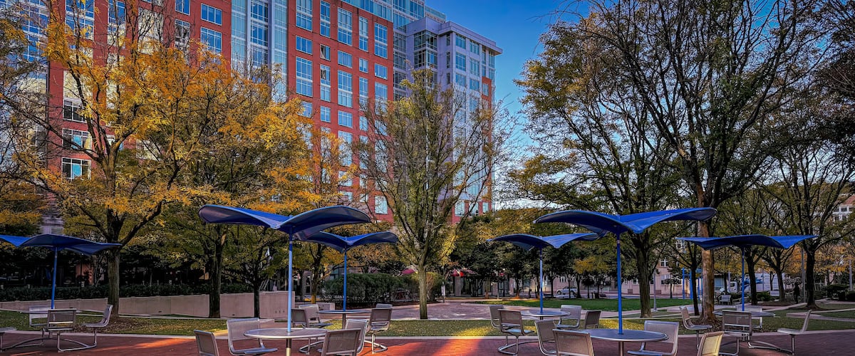 Reston Town Center Park in Autumn