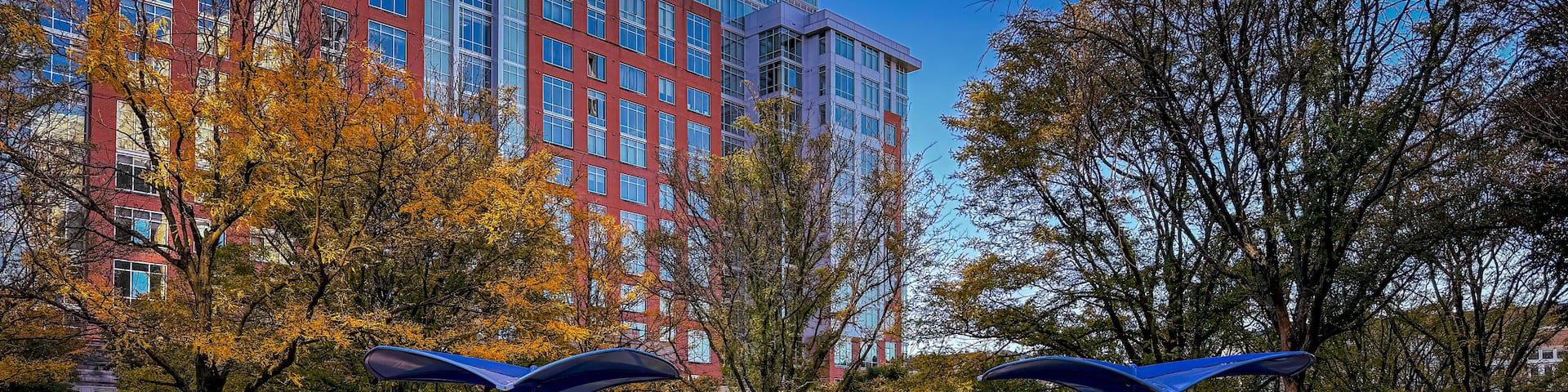 Reston Town Center Park in Autumn