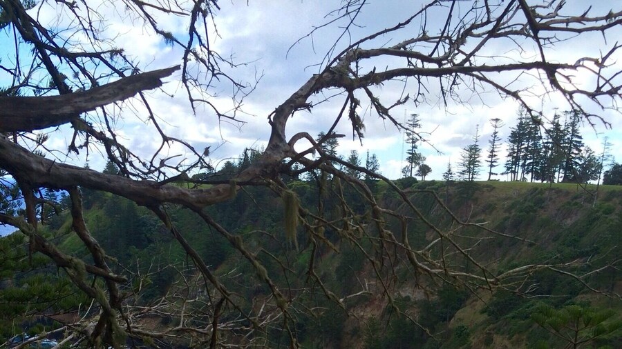 "Anson Bay"
Secluded Anson Bay is on the west coast of Norfolk Island.
A walking track winds down to the beach which is hugged by steep cliffs.
At the cliff top there is a reserve with picnic and BBQ facilities.
It is a great place to watch the sunset.
#Outdoors
#Hiking
#Green