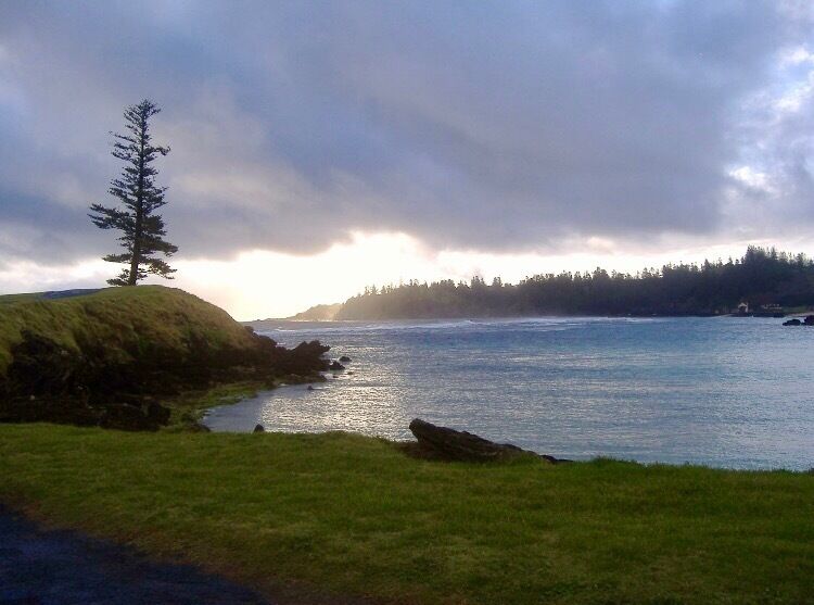 A coastal landscape with a grassy hill, a solitary tree, and a calm sea under a cloudy sky.