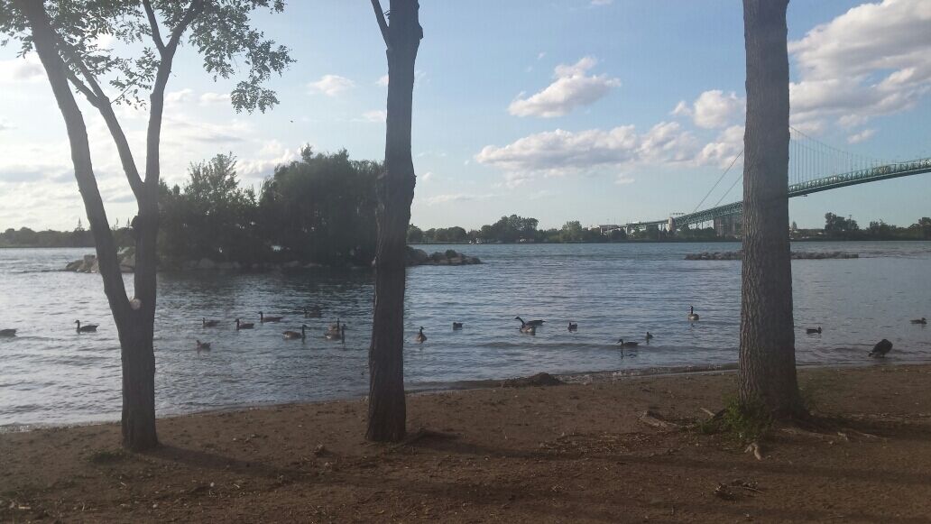 Picture of the Ambassador Bridge on the Canadian side.
