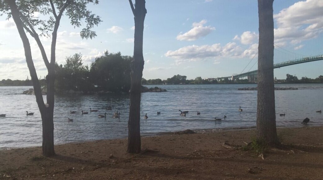 Picture of the Ambassador Bridge on the Canadian side.