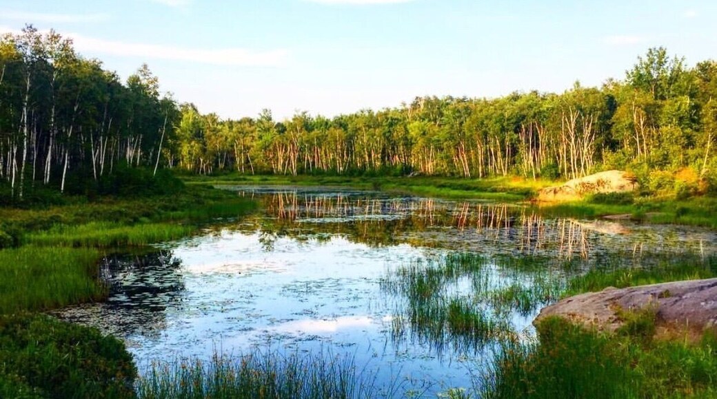 Laurentian provincial trail