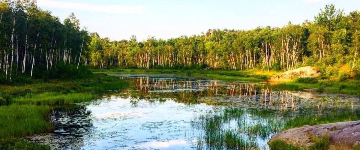 Laurentian provincial trail