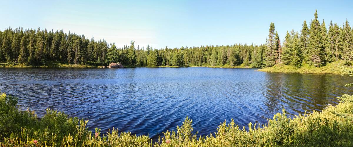 A calm lake surrounded by dense forest and a rocky outcrop.