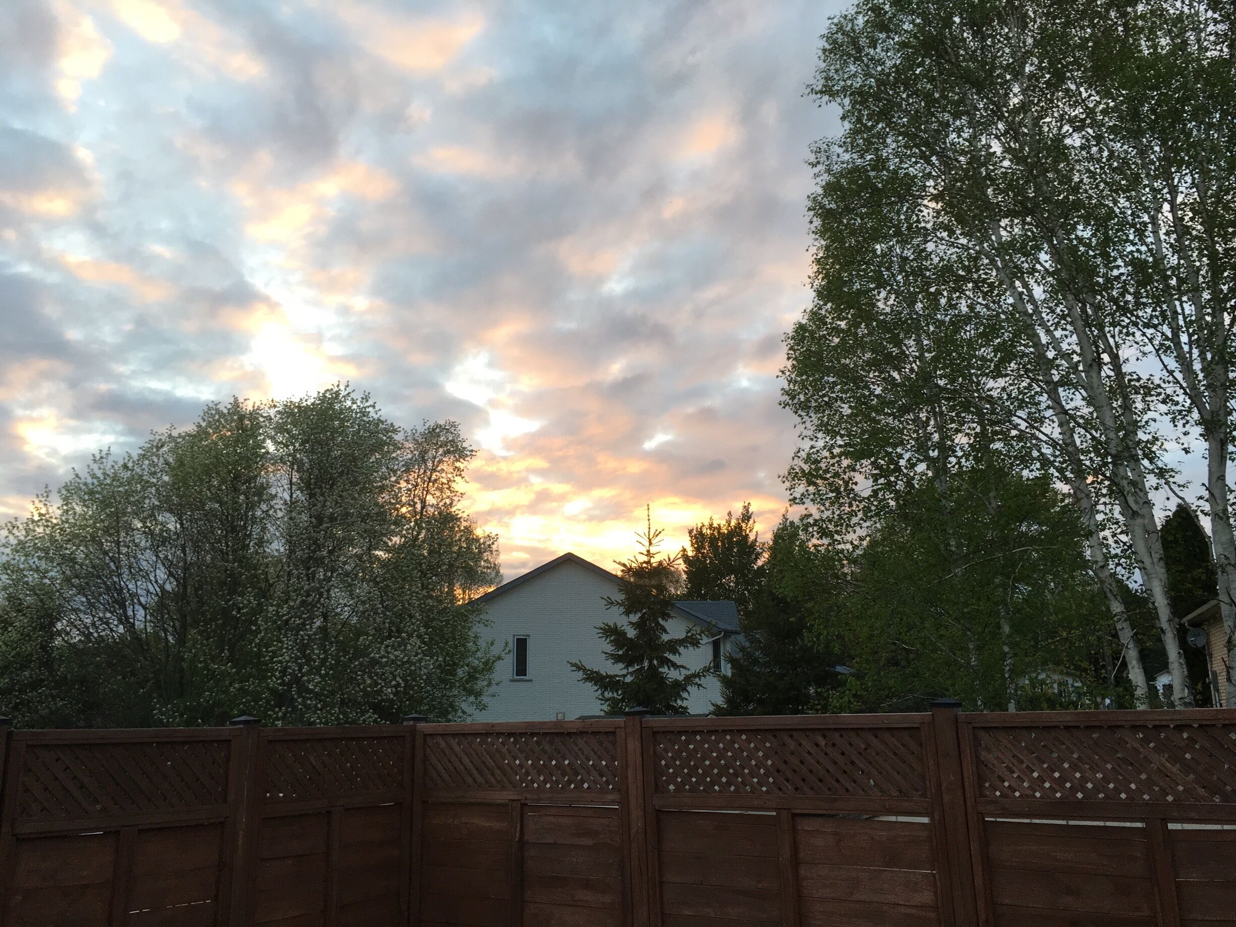 You don't always have to travel to take a nice photo, sometimes the backyard is perfect 