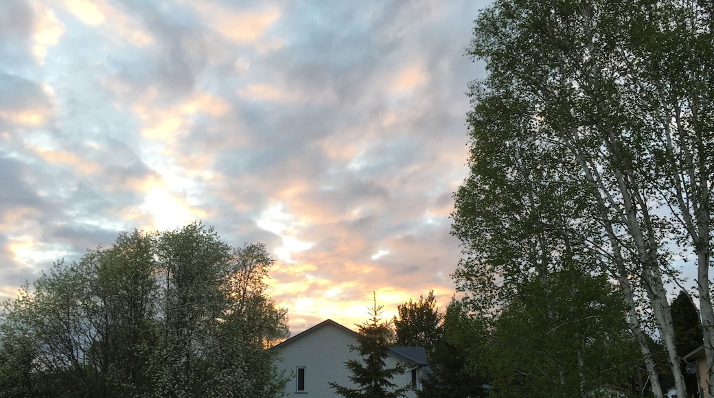 You don't always have to travel to take a nice photo, sometimes the backyard is perfect