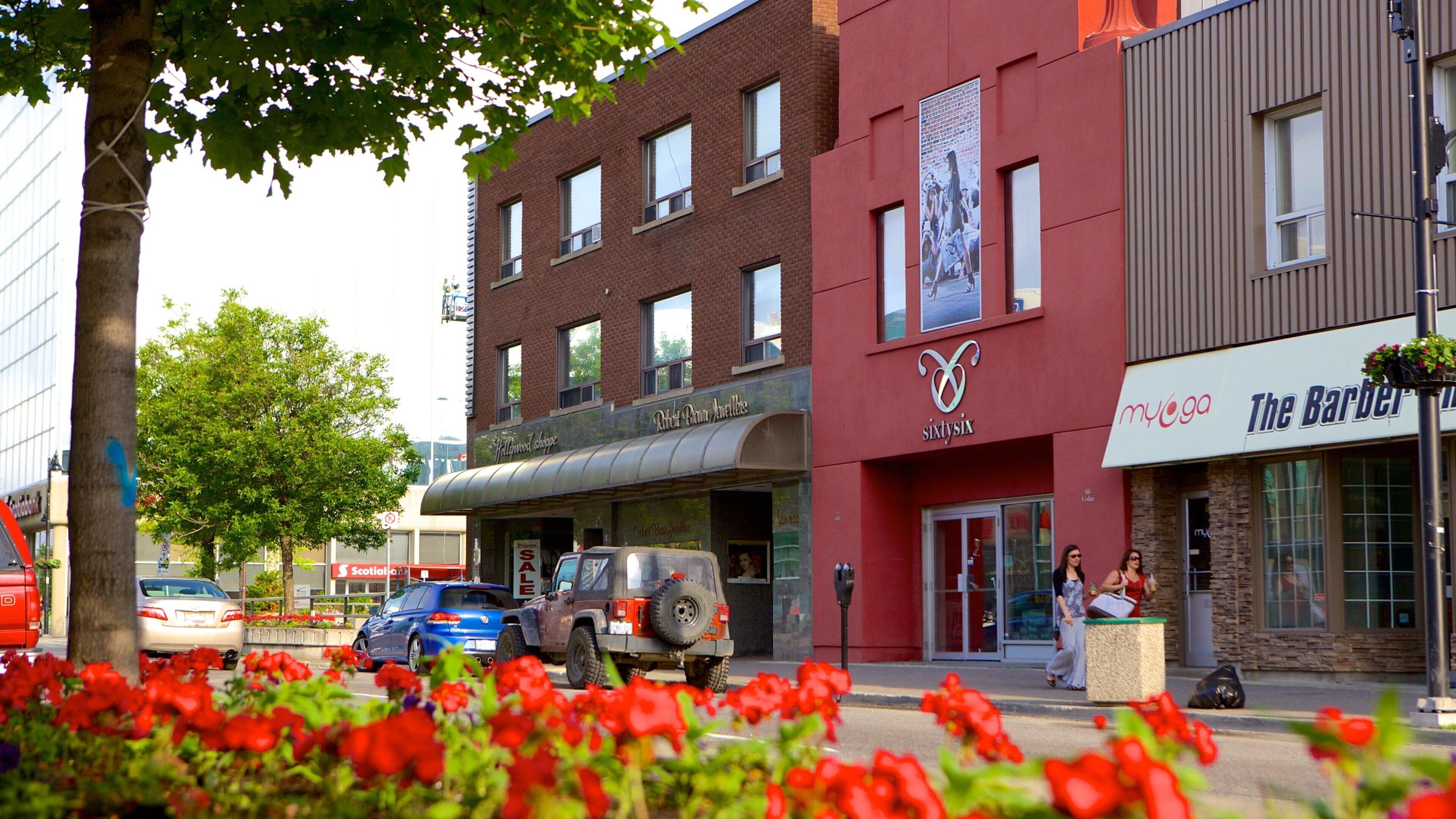 Sudbury ofreciendo escenas urbanas