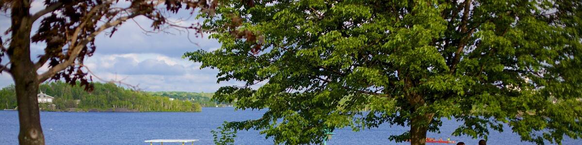 Sudbury featuring a lake or waterhole and a garden