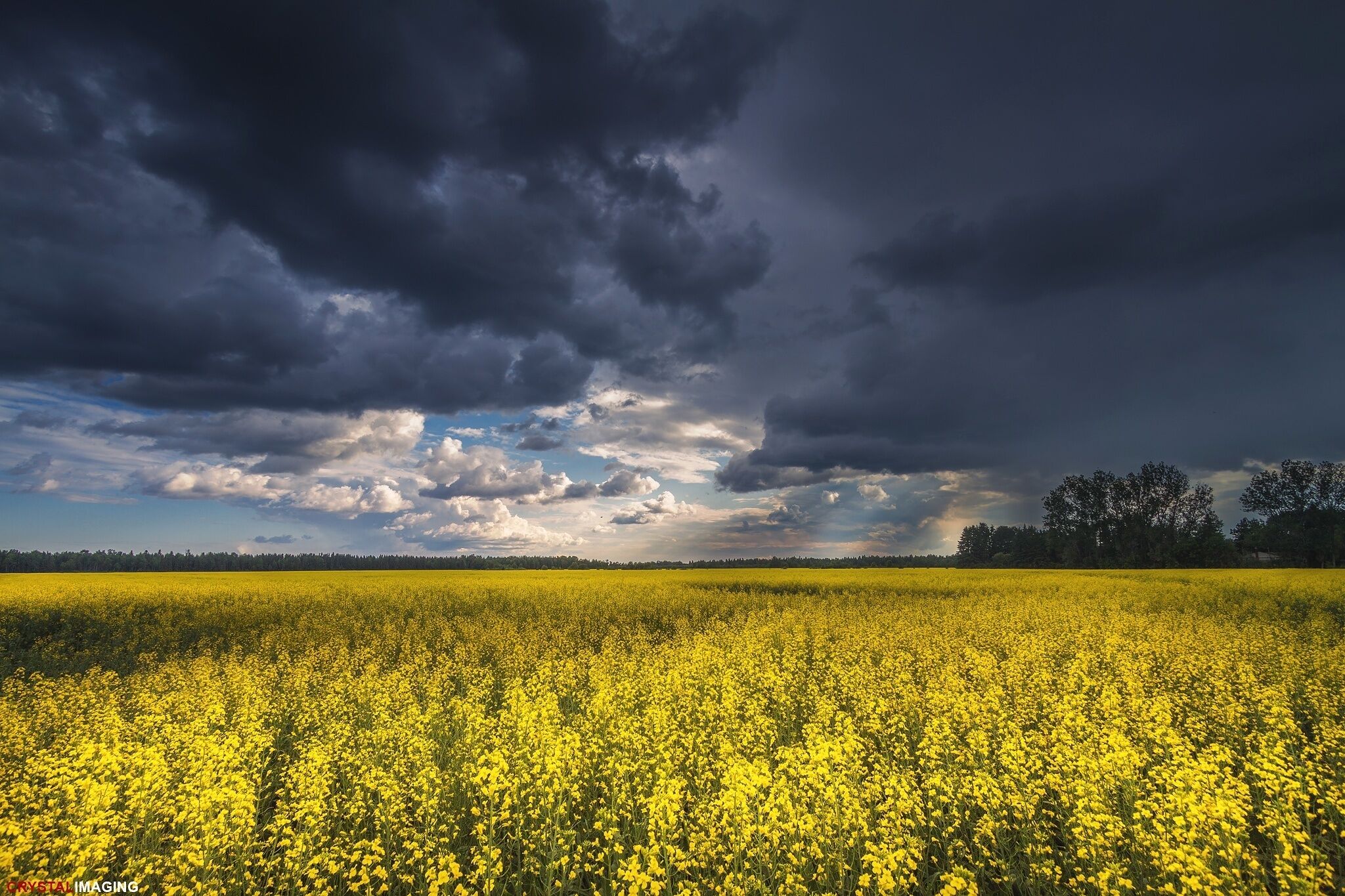 There's something about storms that energized me. I love when nature puts on a display of raw power. 
#travel #storm #thunderstorm #stormchasing #colorful #adventure #ontario #canada 