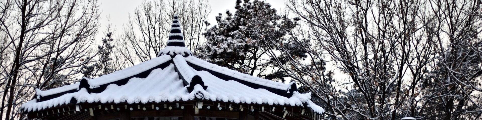 Songtan Buraksan Trail. This is a little, hardly used trail in Songtan. Well, by tourists because I did see a few locals using it. It’s right next to the library and safe to visit. I visited by myself early in the morning. Really it’s beautiful and has features like this gazebo...even exercise equipment. #BvSExplore #songtan #korea #gazebo #trail #walk #safe