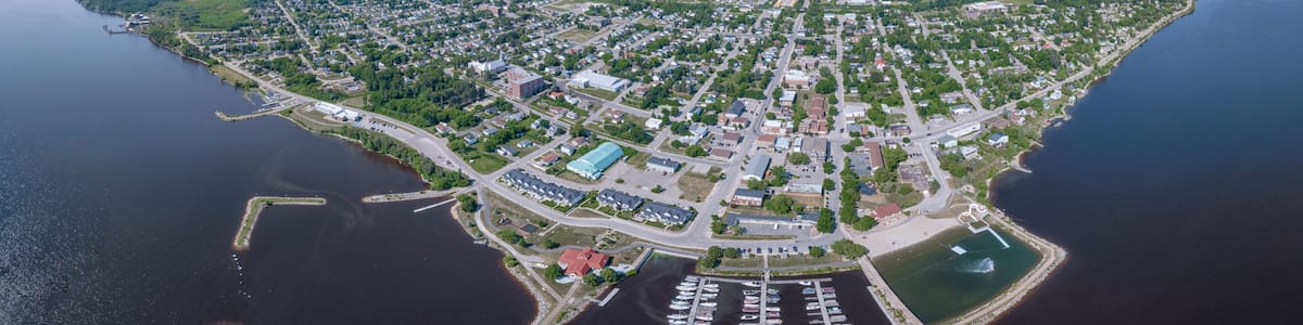 An aerial view of a coastal town with a marina, dense residential area, and surrounding greenery.