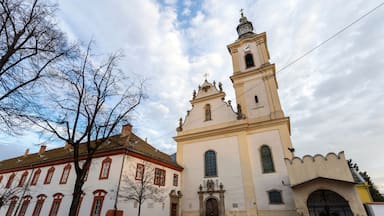 Franciscan Church in Gyongyos, Hungary